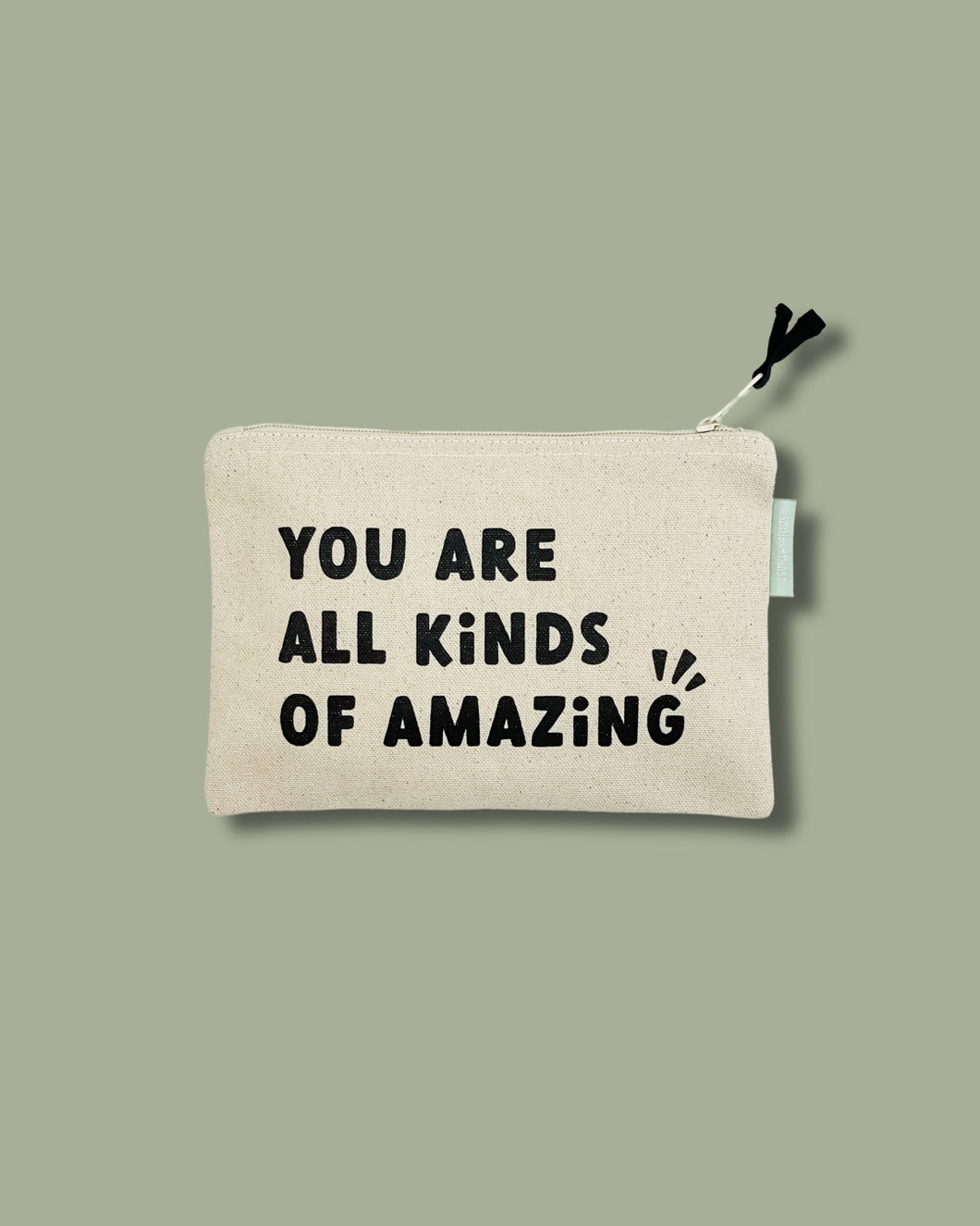 You are all Kinds of Amazing Small Zipper Pouch