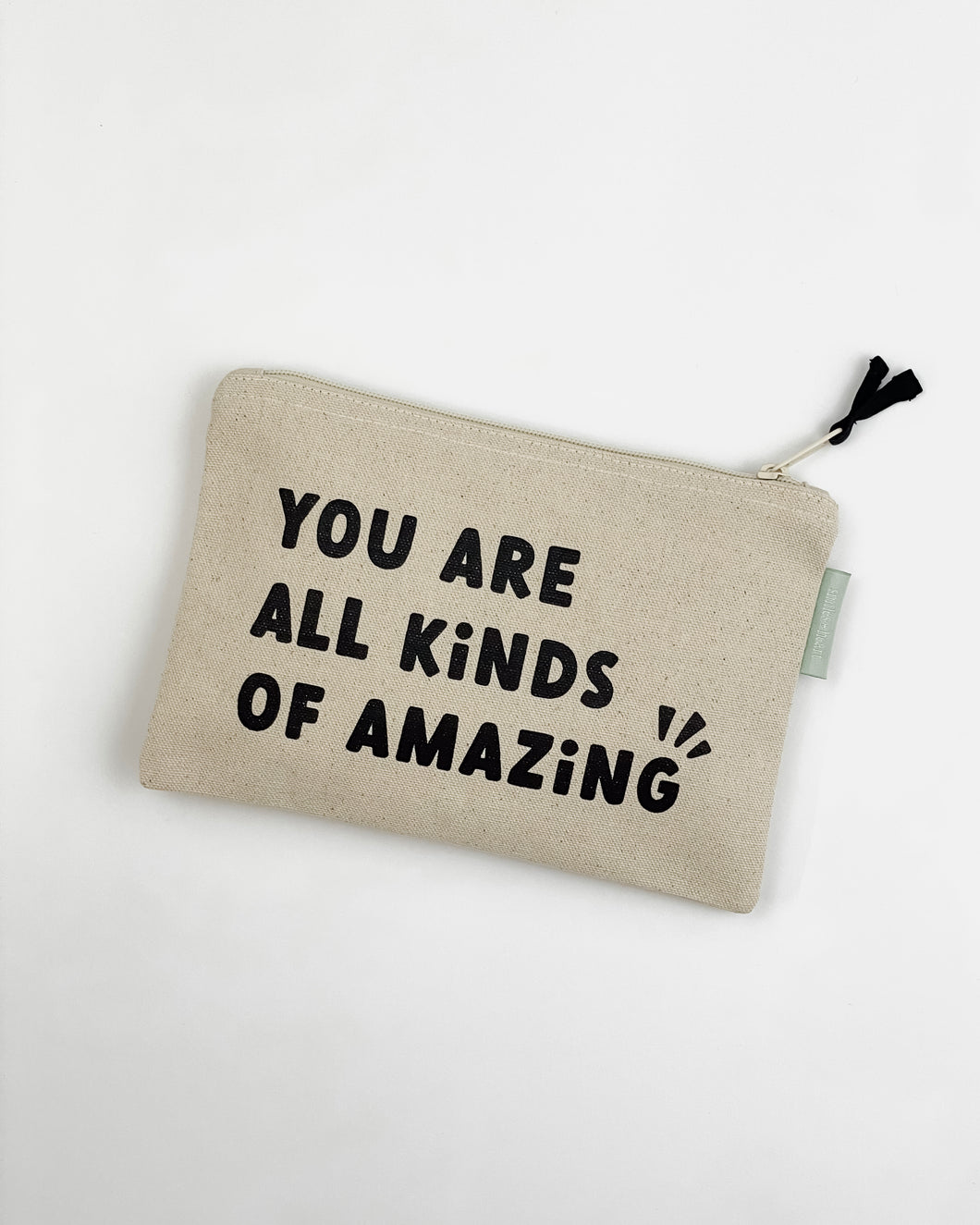 You are all Kinds of Amazing Small Zipper Pouch